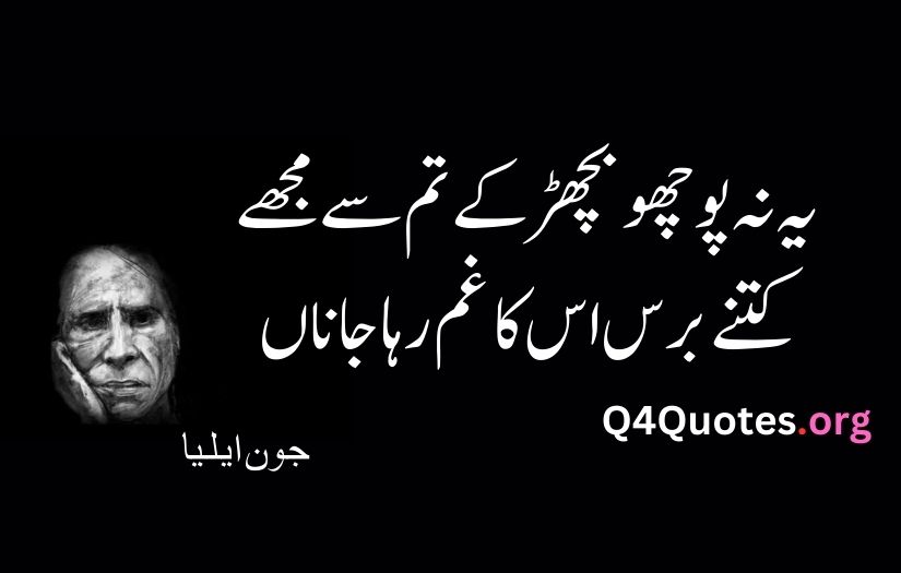 John Elia Poetry in Urdu