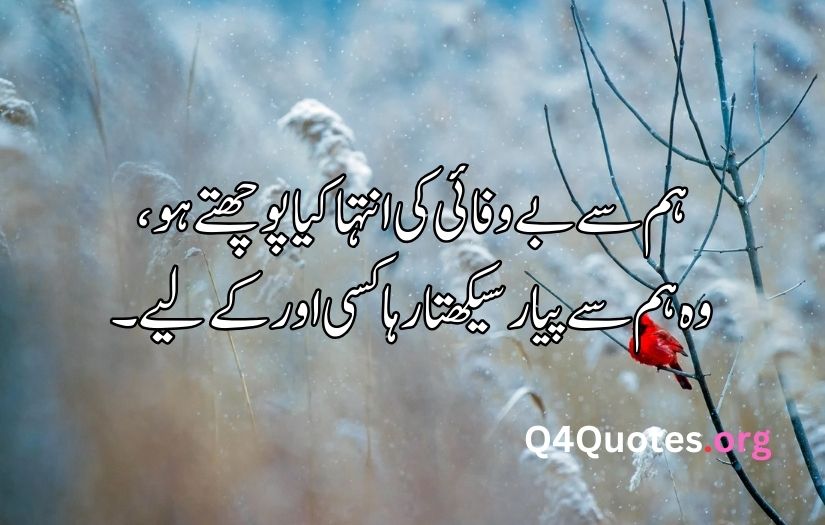 Sad poetry in Urdu about life