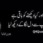 John Elia Poetry in Urdu