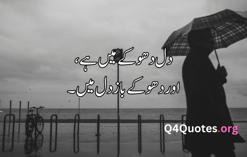 Sad poetry in Urdu about life