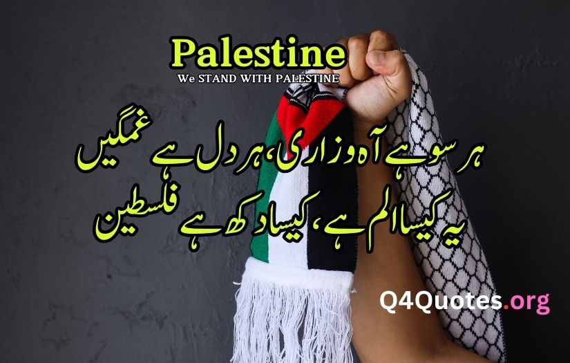 Palestine poetry in Urdu