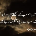 Sad quotes in Urdu one line