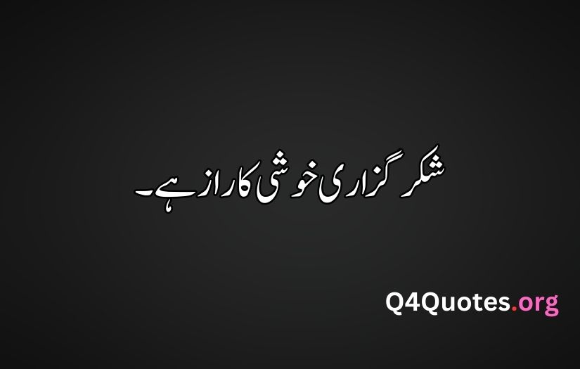 Inspiration Urdu Quotes