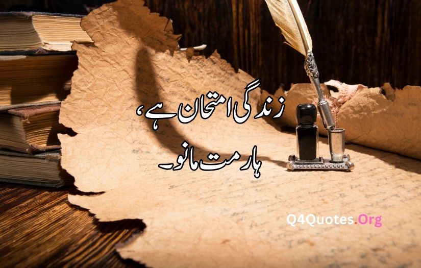 Aqwal E Zareen in urdu text