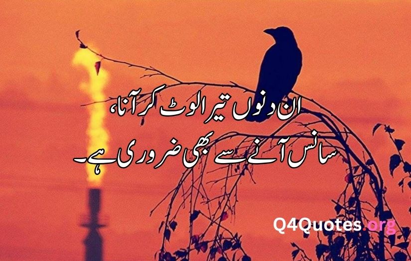 Sad poetry in Urdu about life