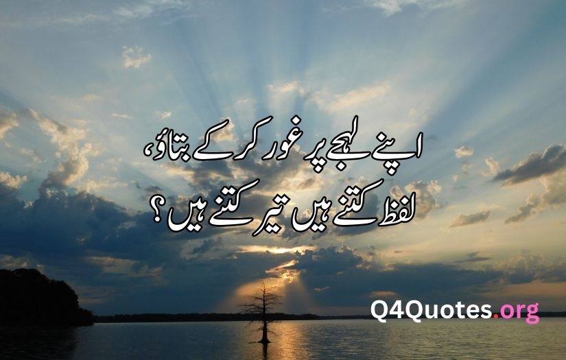 Sad poetry in Urdu about life