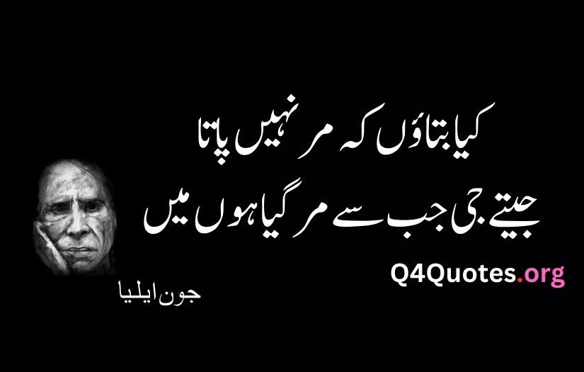 John Elia Poetry in Urdu