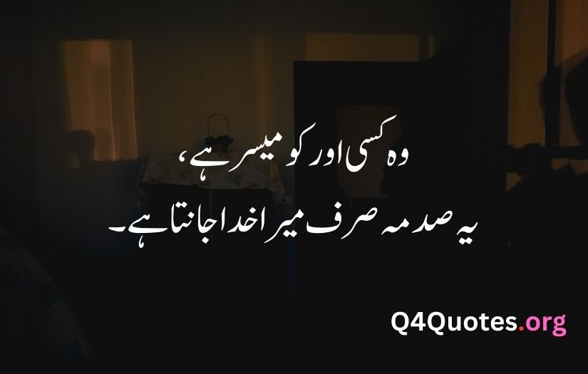 Sad poetry in Urdu about life