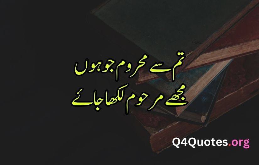 Sad poetry in Urdu words