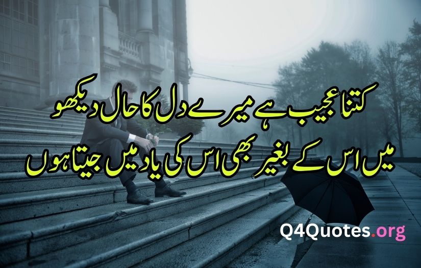 Sad poetry in Urdu words