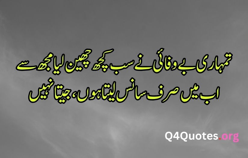 Sad poetry in Urdu words