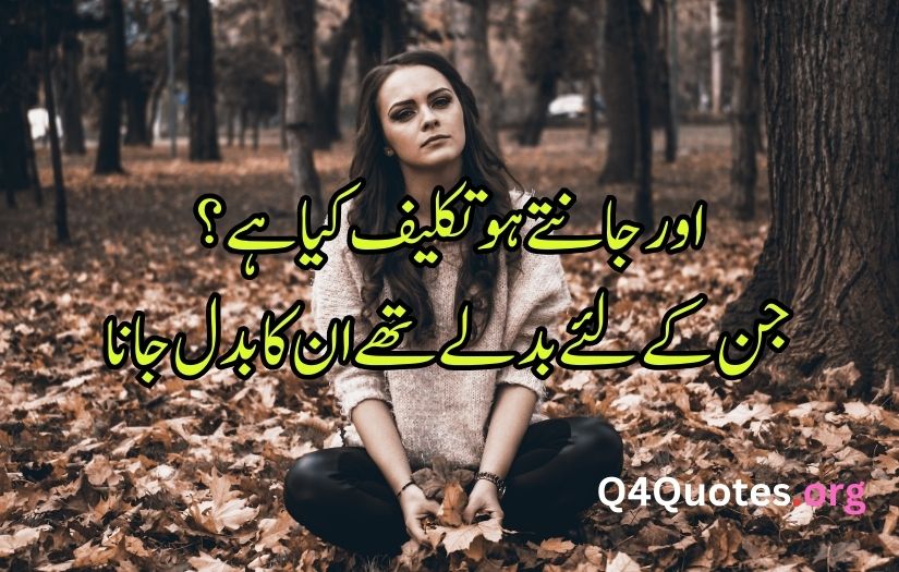 Sad poetry in Urdu words