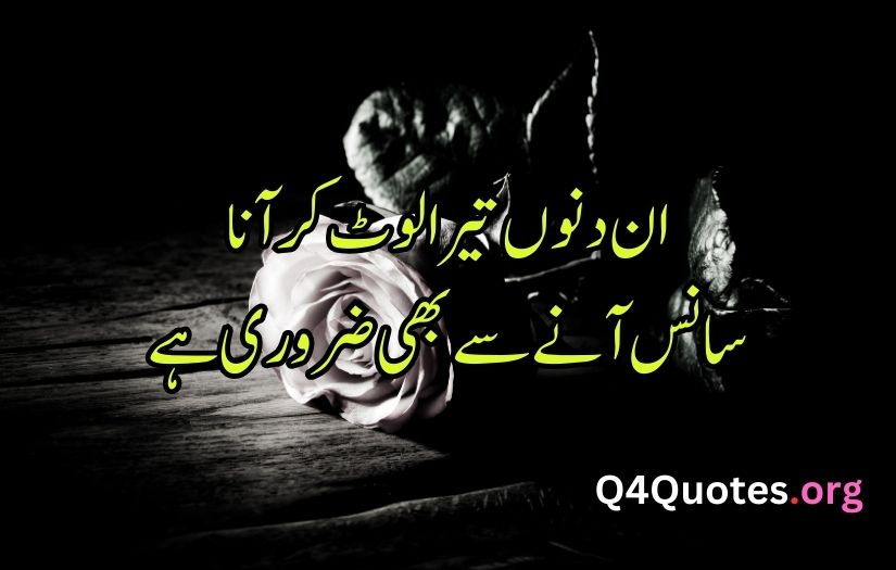 sad poetry in urdu words