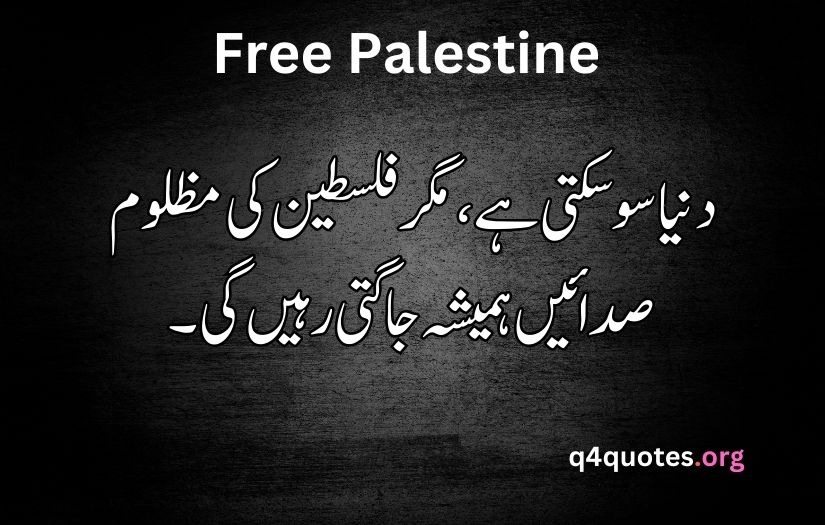 Palestine poetry in Urdu