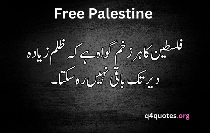 Palestine poetry in Urdu