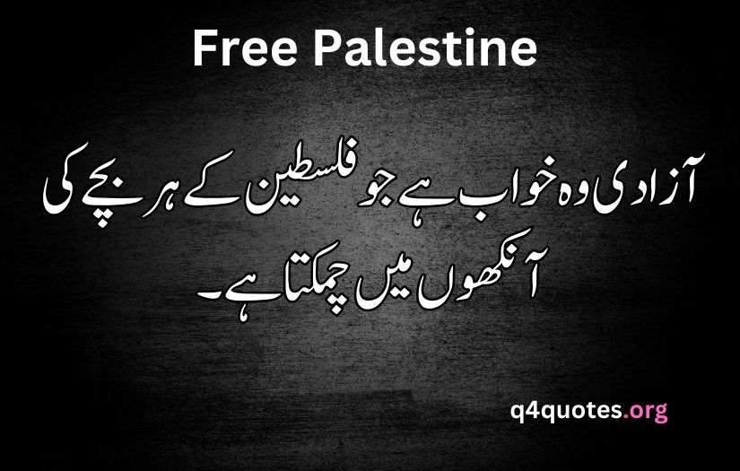 Palestine poetry in Urdu