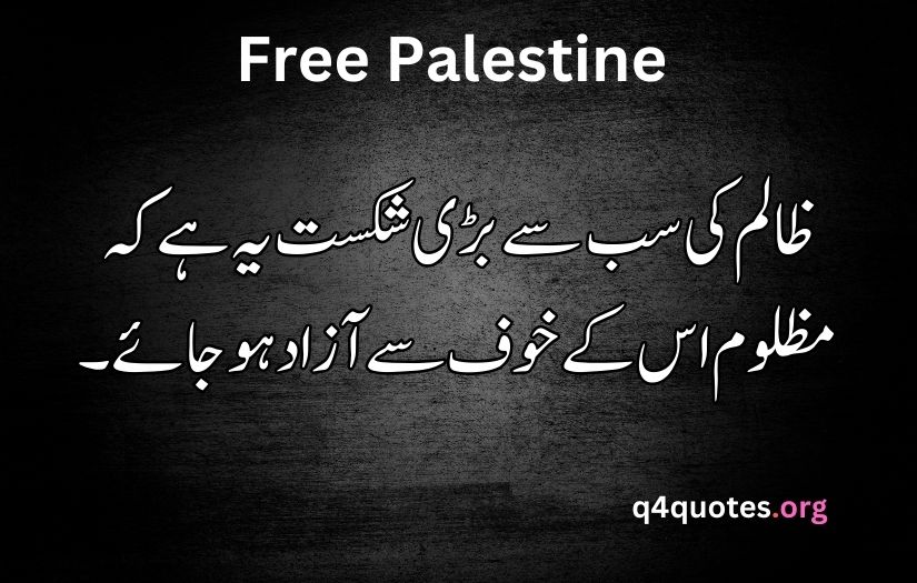 Palestine poetry in Urdu