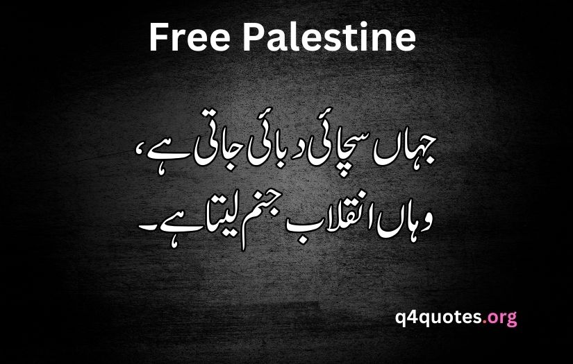 Palestine poetry in Urdu