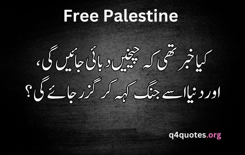 Palestine poetry in Urdu