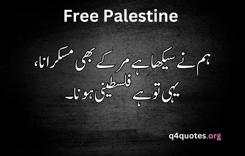 Palestine poetry in Urdu