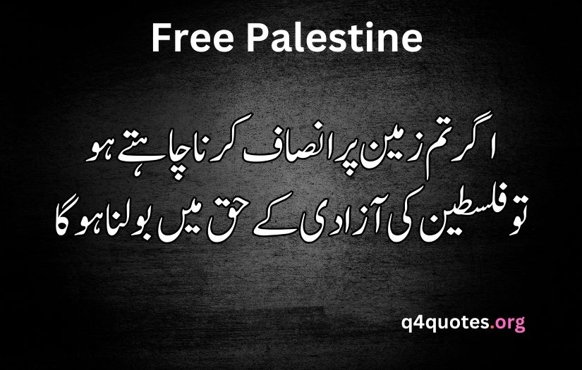 Palestine poetry in Urdu