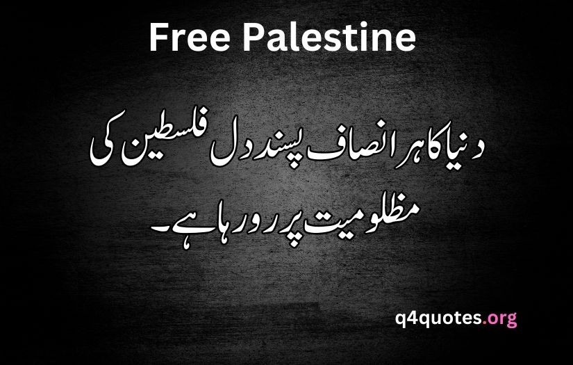 Palestine poetry in Urdu