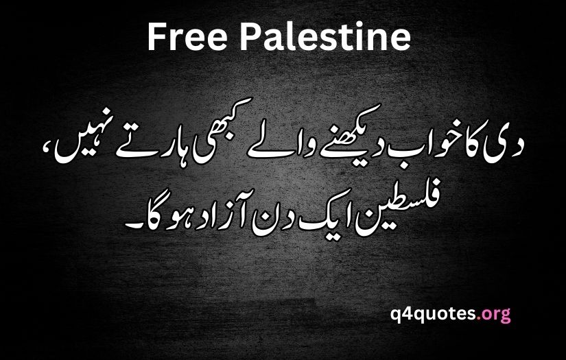 Palestine poetry in Urdu