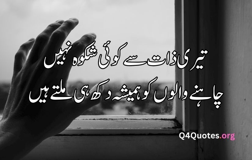 Urdu Shayari on sadness