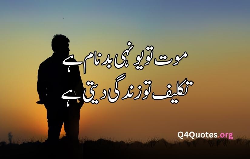 Urdu poetry for life