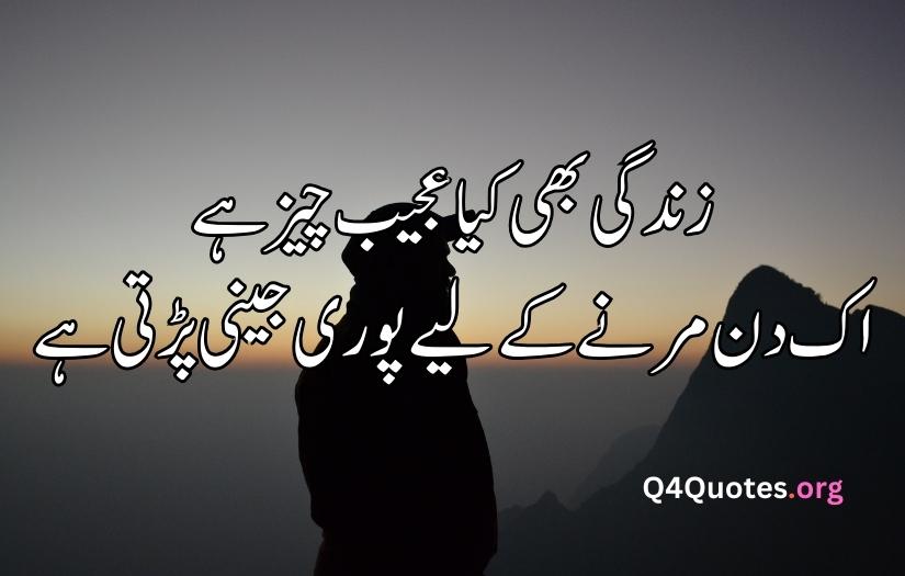 Urdu poetry for life