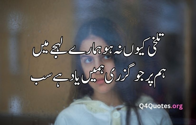 Urdu Shayari on sadness