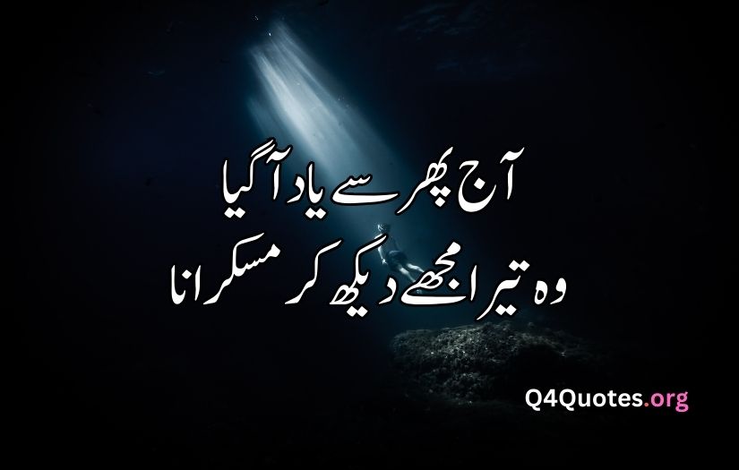 2 line Urdu poetry copy paste sad
