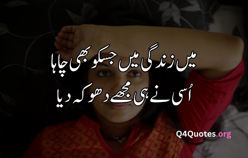 Sad Quotes In Urdu One Line