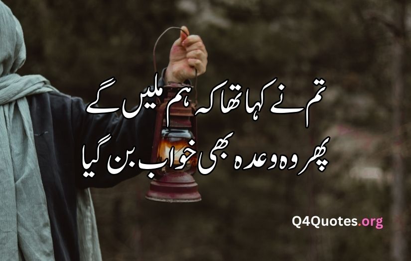 2 line Urdu poetry copy paste sad