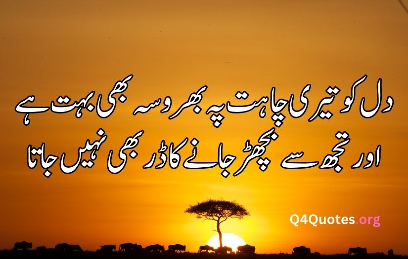 Ahmad Faraz best poetry in Urdu