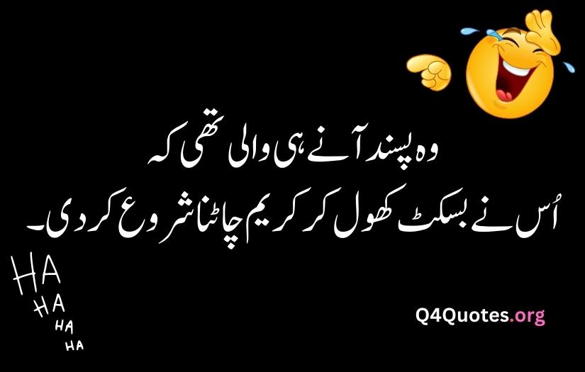 Funny poetry in Urdu text