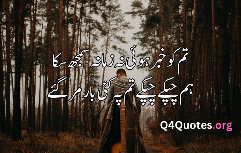 Best Urdu poetry in 2 lines 