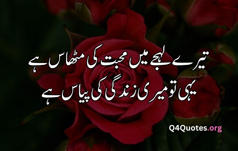 2 line Urdu poetry romantic SMS