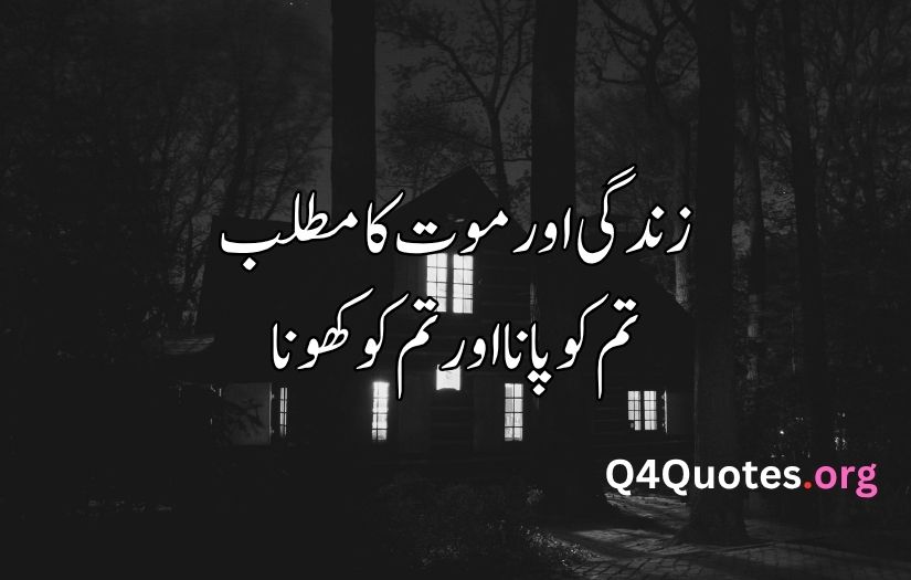 Best Urdu poetry in 2 lines