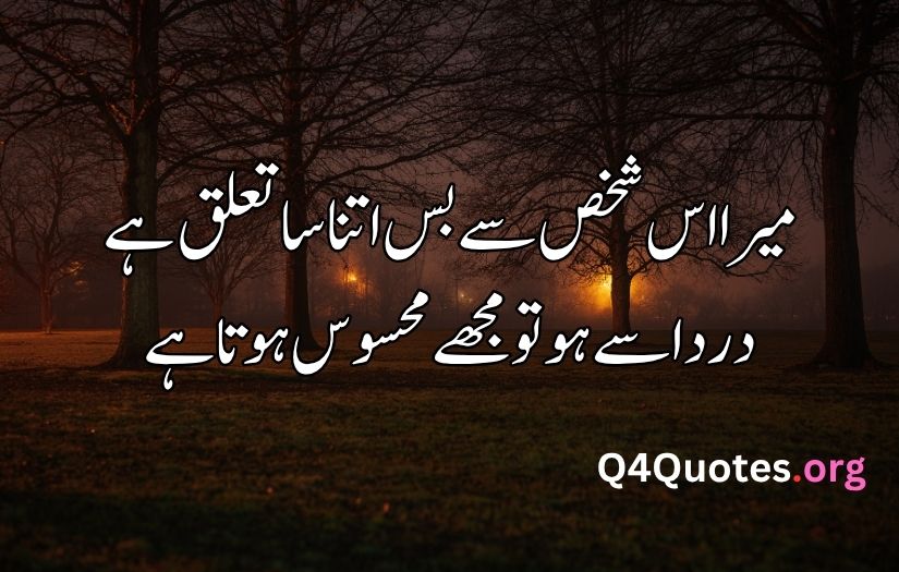 Best Urdu poetry in 2 lines