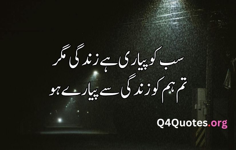 Best love poetry in urdu