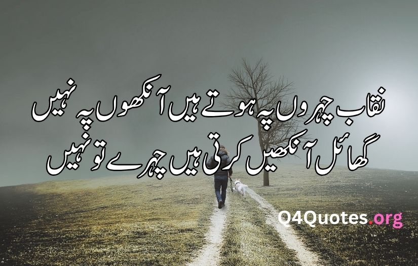 Best Urdu poetry in 2 lines 