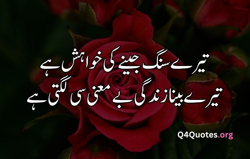 2 line Urdu poetry romantic SMS