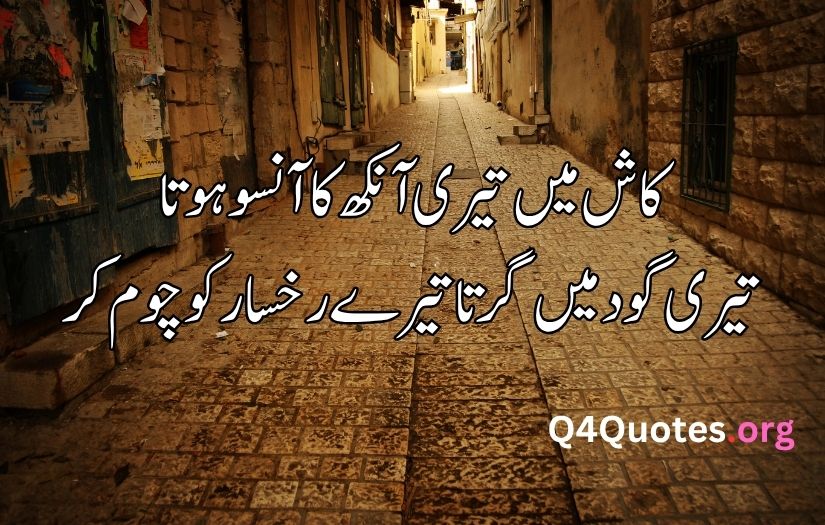 Best love poetry in urdu