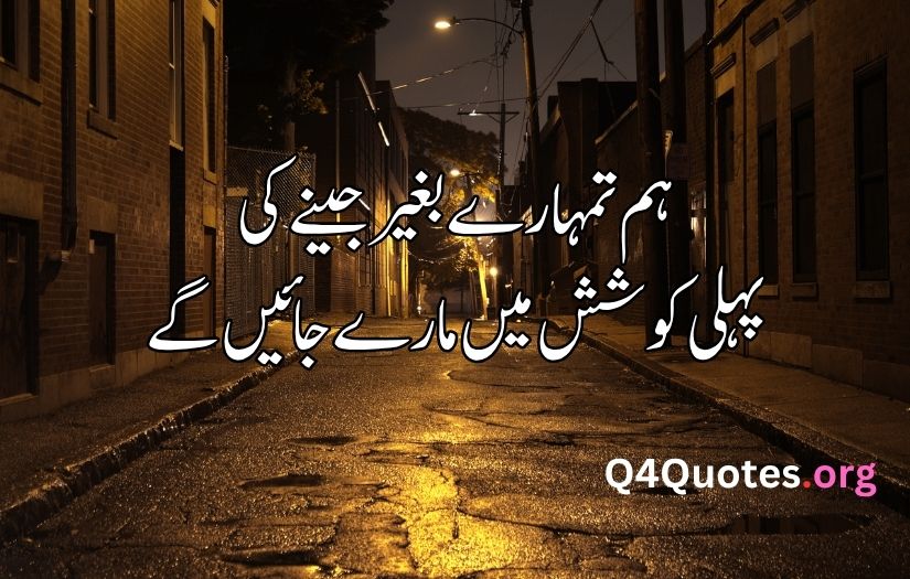 Best love poetry in urdu