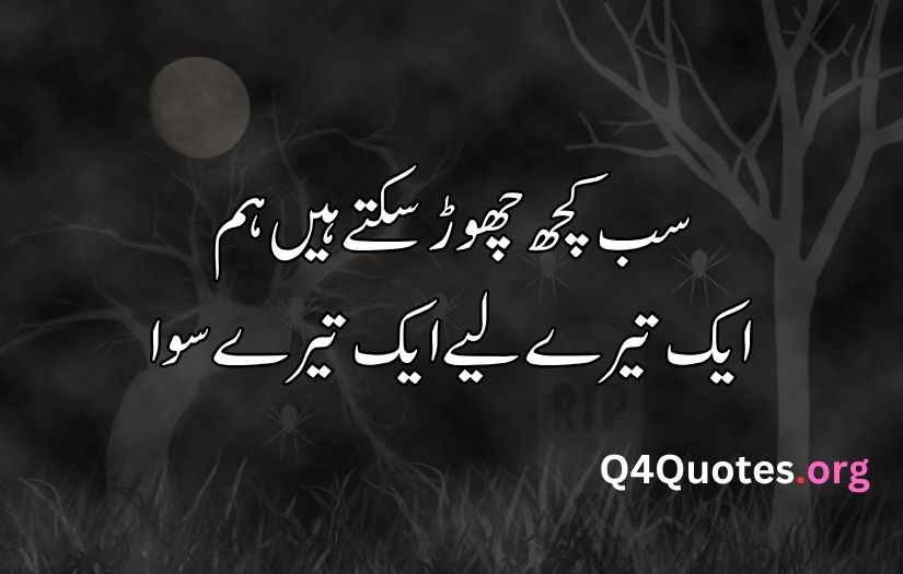 Best love poetry in urdu