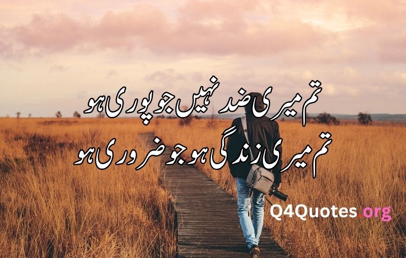 Best Urdu poetry in 2 lines 
