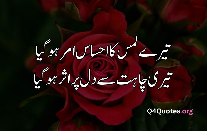2 line Urdu poetry romantic SMS