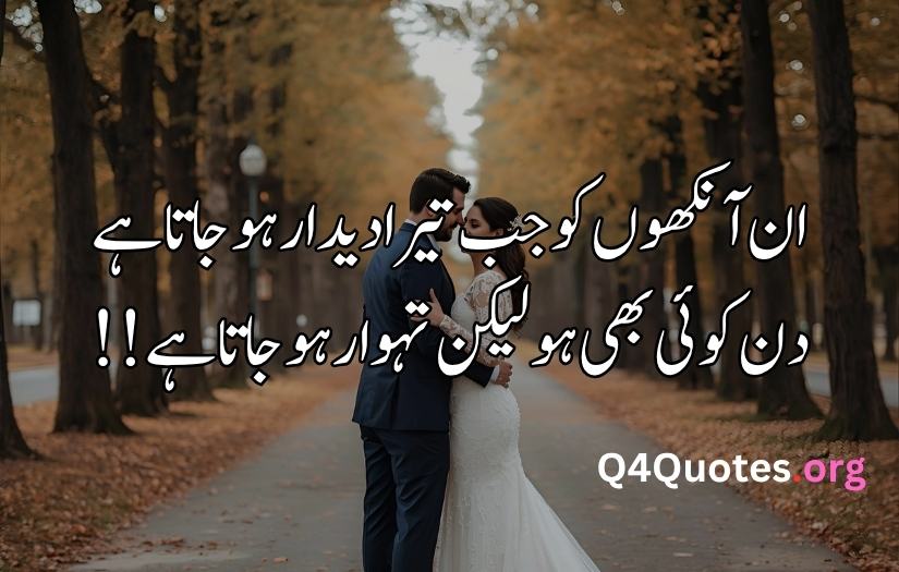 Love Shayari in Urdu 2 lines
