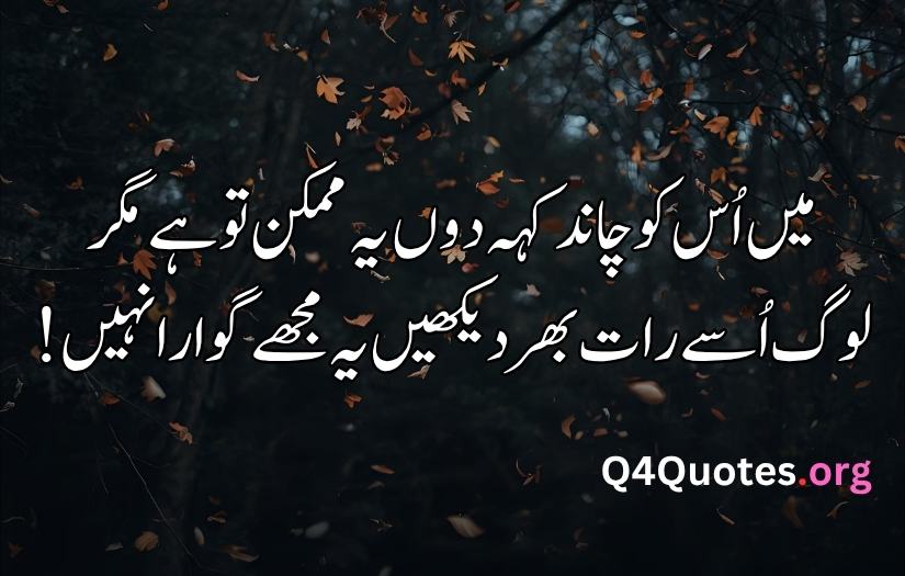 My Uploaded Image